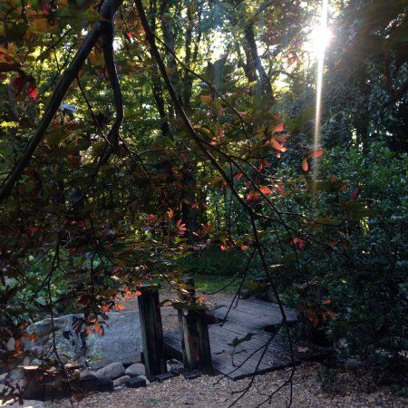 Fletcher Park