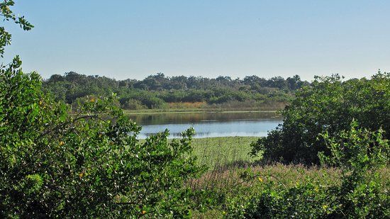 Charlotte Harbor Preserve State Park