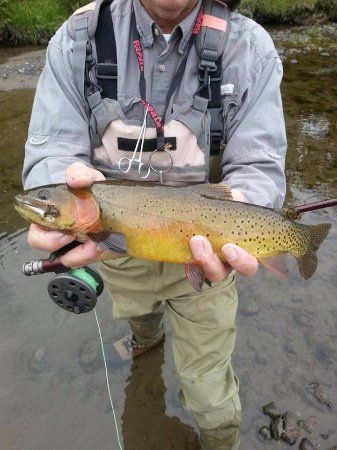 Wind River Flyfitter
