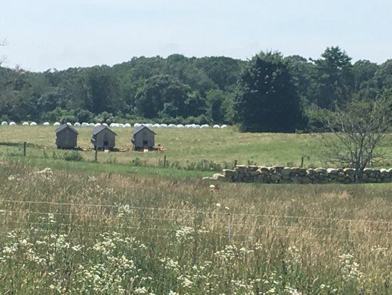 The Grey Barn