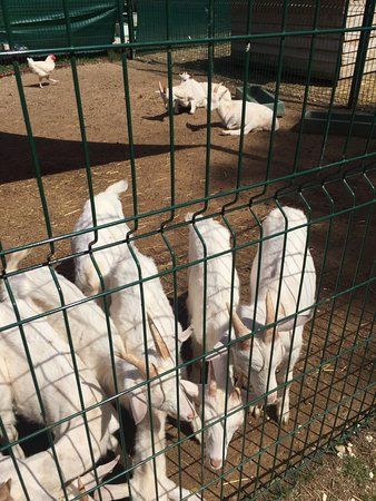 Ferme du buisson siard