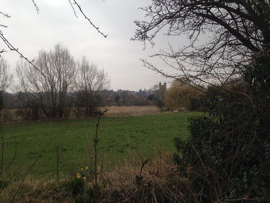 Bishops Meadow