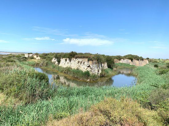 Fort de Peccais