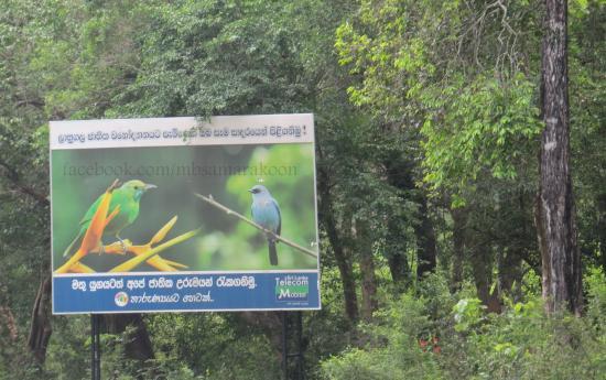 Lahugala Kitulana National Park