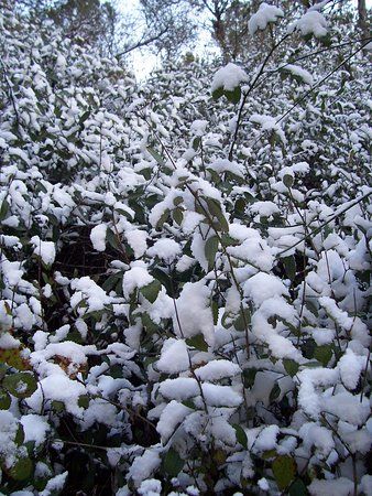 Montes de Malaga Natural Park