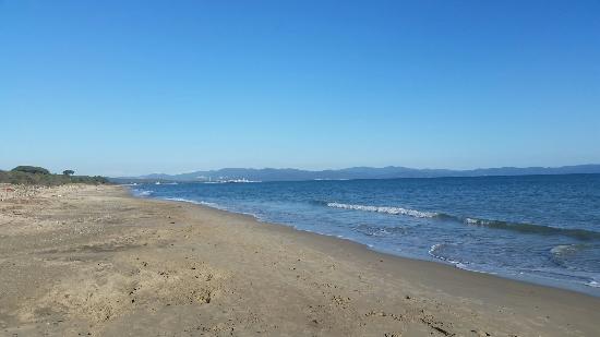 Area naturale protetta di interesse locale Sterpaia