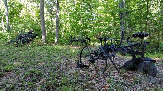 Sheffield Park Black History & Cultural Museum