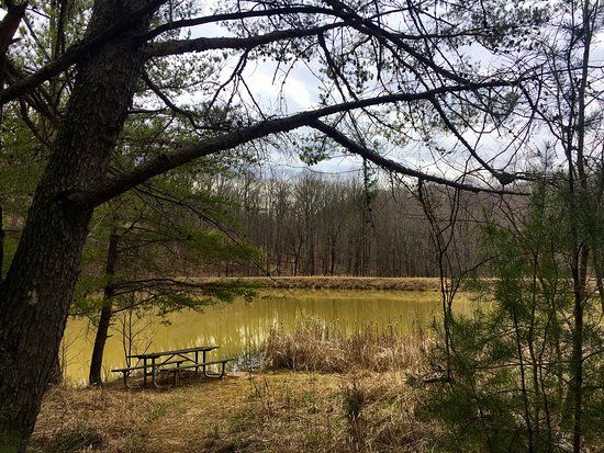Jefferson Memorial Forest