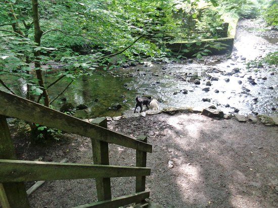 Loggerheads Country Park
