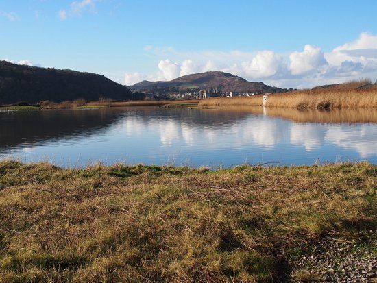 RSPB Conwy Nature Reserve