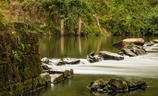 Alyn Waters Country Park