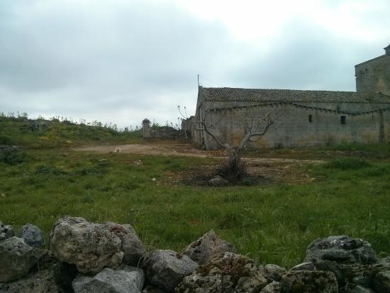 Jesce Masseria