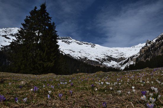 Malga D'Arnò