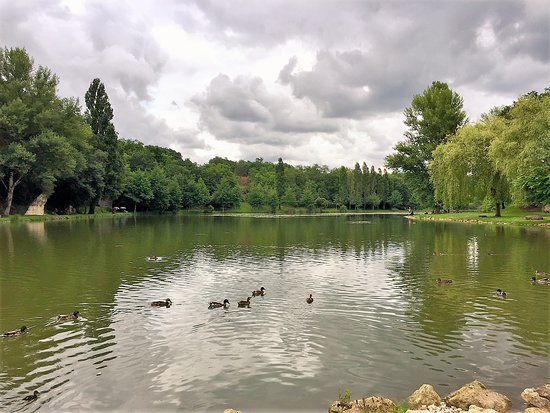 Etang de Lussac