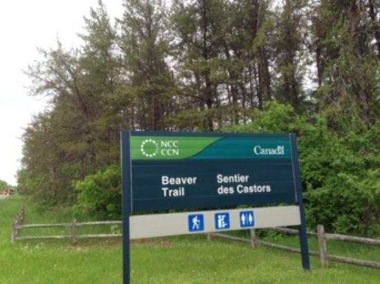 Wild Bird Care Centre