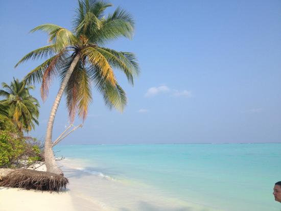 Island of Thinnakara