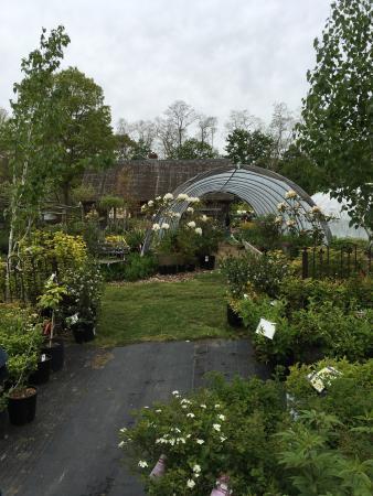 Peconic River Herb Farm