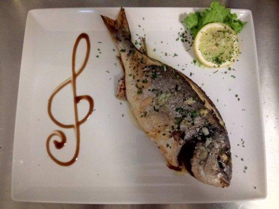 Lavrador Sao Vicente