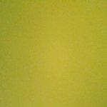 Restaurante Chino Nuevo Shangai