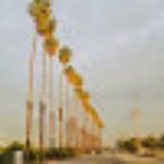 Frankie's Donuts and Grinders