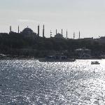 Subway Itajai Hercilio Luz