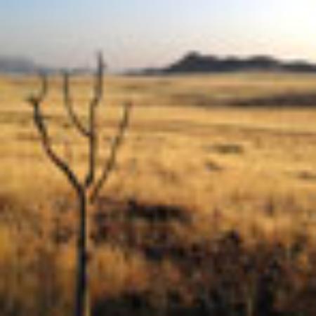 Megamatte Millenium Shopping