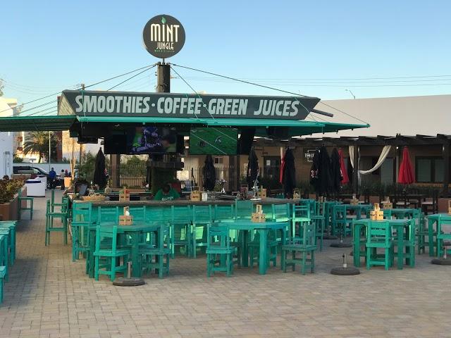 Mint Jungle & Amber's Market