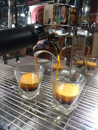 Bendita tierra café