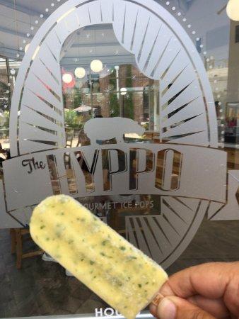 The Hyppo Gourmet Ice Pops