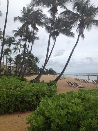 Encanto Beach Club Bar & Grill