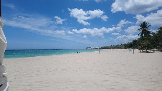 Blue Jack Beach Bar & Snacks