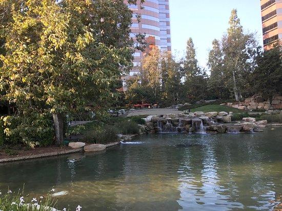 Red O Mexican Restaurant