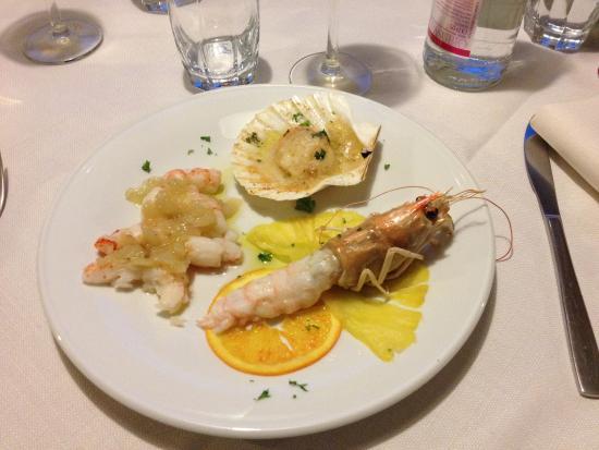 Trattoria Bar Italia