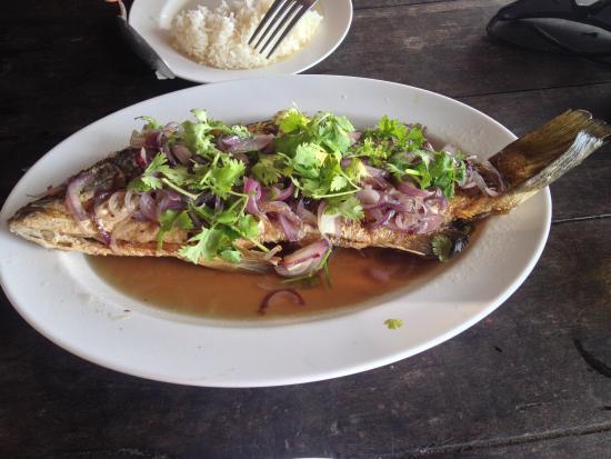 Tiger Hut Bungalow & Restaurant