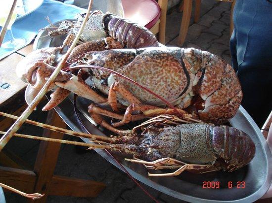 Tri Ribara Restaurant