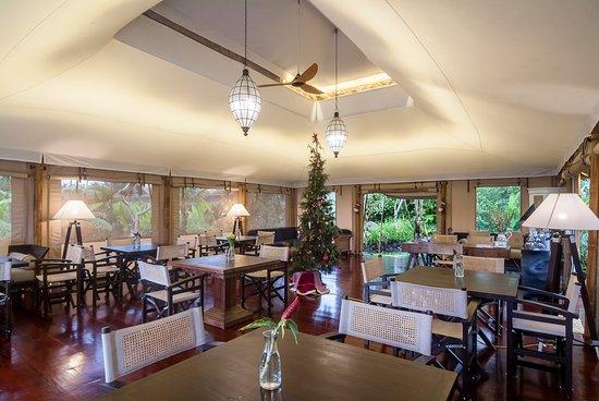 Evicurious Restaurant