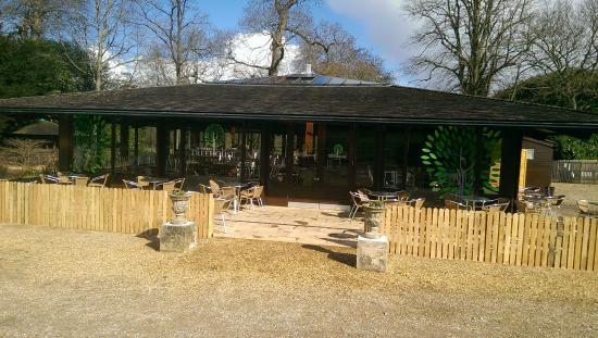 Bowood Treehouse Cafe
