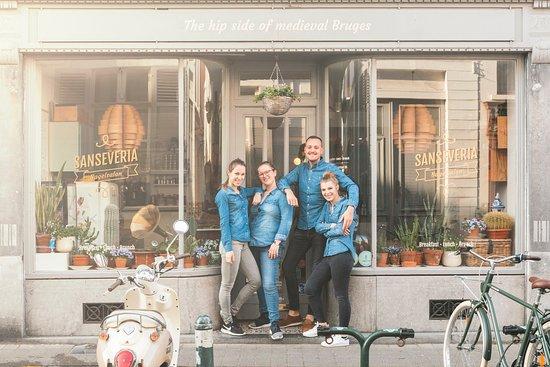 Sanseveria Bagelsalon