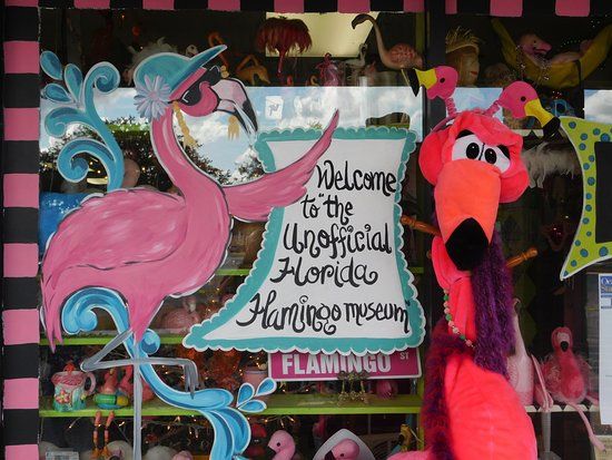 The Official Florida Flamingo Museum