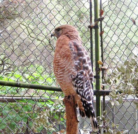 Sulphur Creek Nature Center