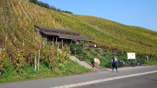 Roman Wine Press