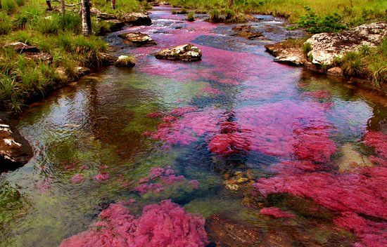 Balneario Tranquilandia