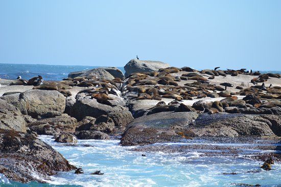 Seal Island