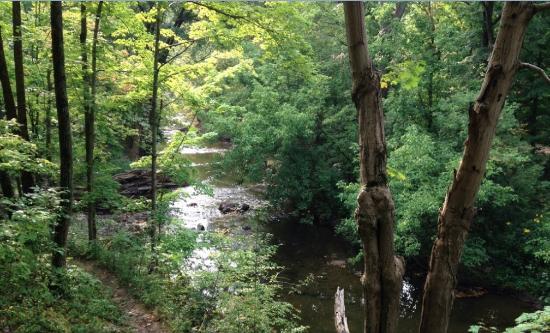 French Creek Reservation