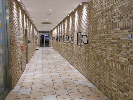 CIAL Sakuragicho Momijizaka Gallery