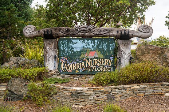 Cambria Nursery and Florist