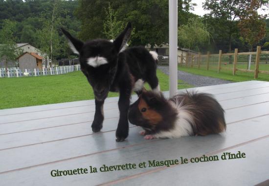 La Ferme du Bon'Air