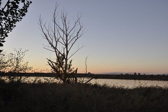 Estany d'Ivars