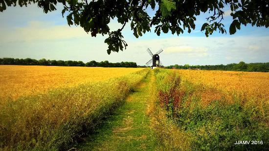 Pitstone Windmill