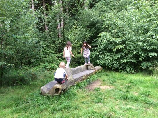Chambers Farm Woods